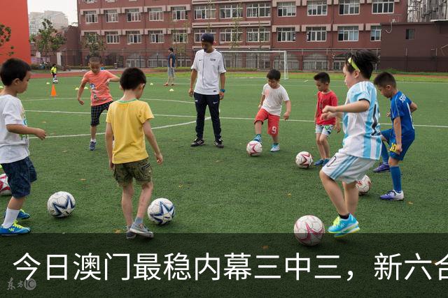 今日澳门最稳内幕三中三，新六合彩最准的特码生肖推荐，第293期新六合彩内幕一肖一特是什么
