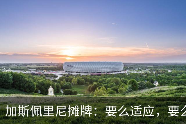 加斯佩里尼摊牌：要么适应，要么承受后果