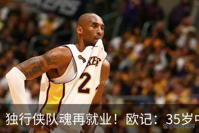 独行侠队魂再就业！欧记：35岁中锋鲍威尔加盟欧洲豪门费内巴切