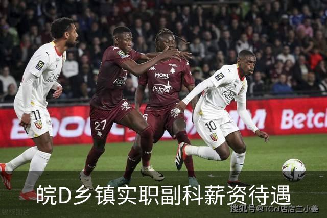 皖D乡镇实职副科薪资待遇