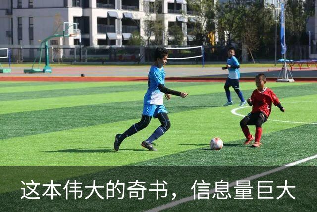 这本伟大的奇书，信息量巨大