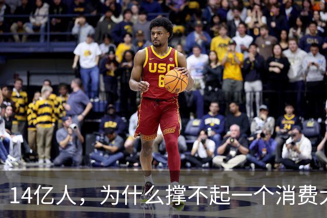 14亿人，为什么撑不起一个消费大国？
