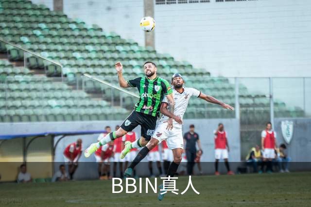 关于BBIN真人